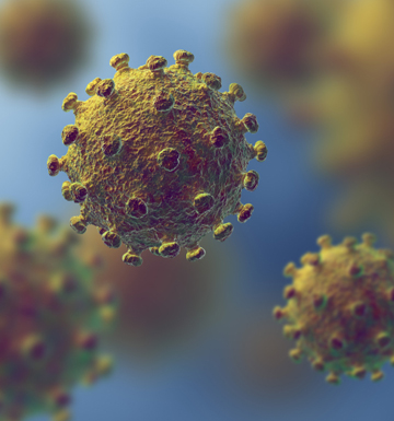 Coronavirus Announcement & Updates